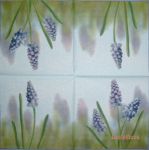 IHR Hyacinth blue